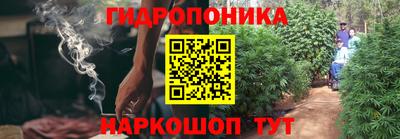 мяу мяу мука Берёзовский