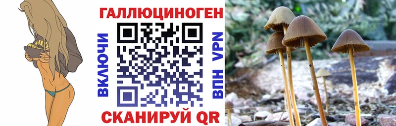 хочу наркоту  это Telegram  Галлюциногенные грибы Cubensis  Ефремов  МЕГА зеркало 