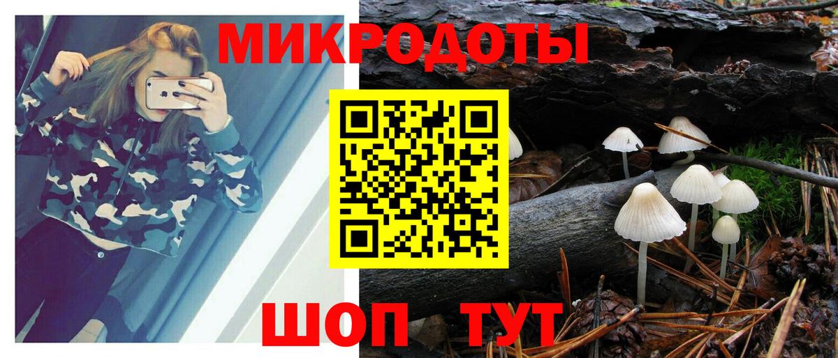 Ефремов  Галлюциногенные грибы Psilocybe  сколько стоит  Вход с VPN 